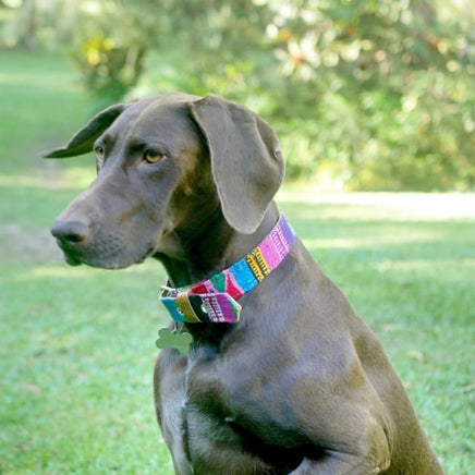 Hand Woven Mayan Pet Collars - Made in Guatemala Worry Dolls