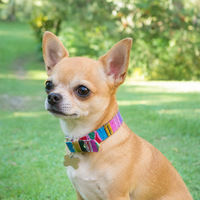 Hand Woven Mayan Pet Collars - Made in Guatemala (sizes XXS and XL)