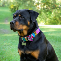 Hand Woven Mayan Pet Collars - Made in Guatemala (sizes XXS and XL)